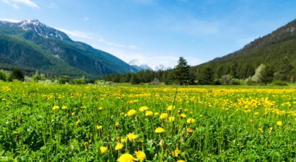 Projet de loi de modernisation, de développement et de protection des territoires de montagne
