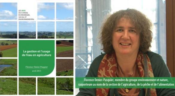 Le CESE a voté un avis sur la gestion et l'usage de l'eau en agriculture