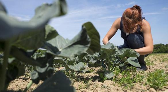 L’ agroécologie s’expose sur les grilles du Palais d’Iéna