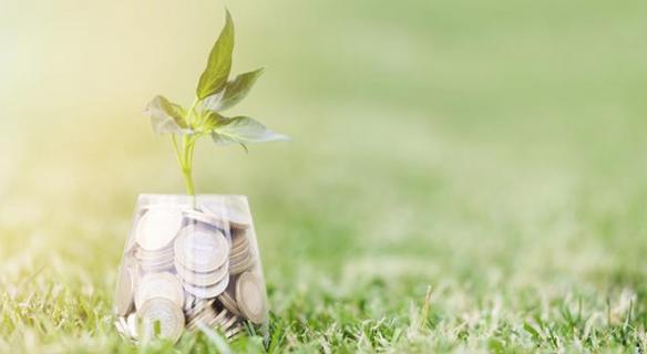 Le CESE se saisit du sujet de la fiscalité écologique