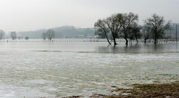 Vingt ans de lutte contre le changement climatique en France