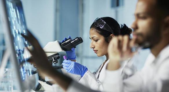 Le CESE prépare sa contribution au projet de loi de programmation pluriannuelle de la recherche