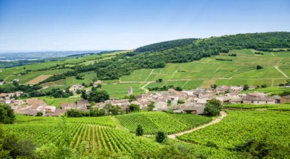 n et la forêt...