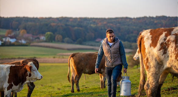 Jeune éleveur avec vaches en prairies
