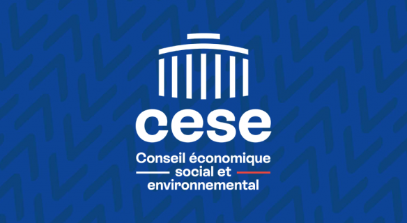 Rapport d'activité du CESE