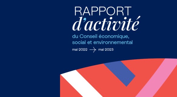 Rapport activité CESE