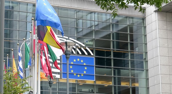 Drapeaux des pays membres de l'Europe flottants