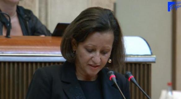 Séance plénière de la présentation du projet d'avis sur les énergies renouvelables outremer