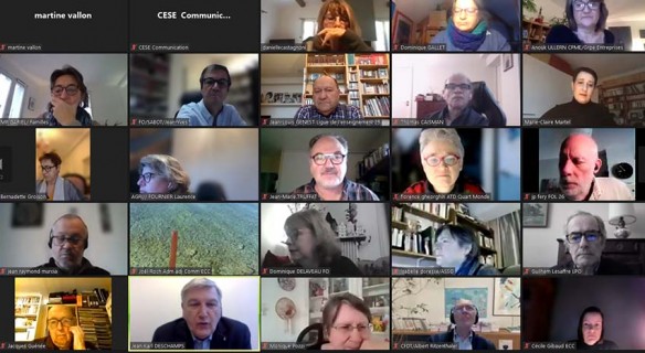 Journée de restitution des bénévoles au CESE