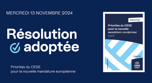 Résolution adoptée