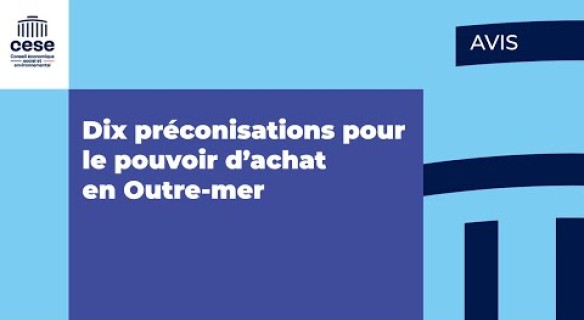 Le pouvoir d'achat en Outre-mer, l'avis du CESE est adopté