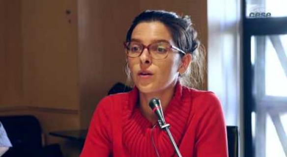 Audition de Cyrielle DENHARTIGH, Réseau action climat France (RAC-F) - bioéconomie
