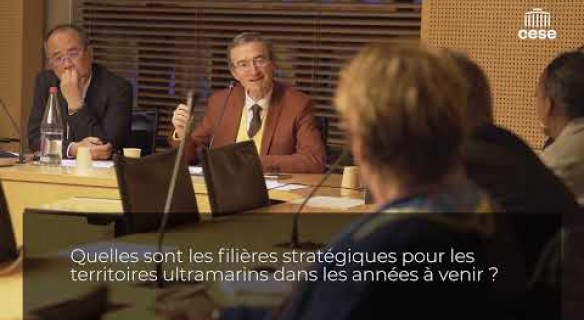 Hervé MARITON (Fedom) - Quels modèles économiques pour les Outre-mer