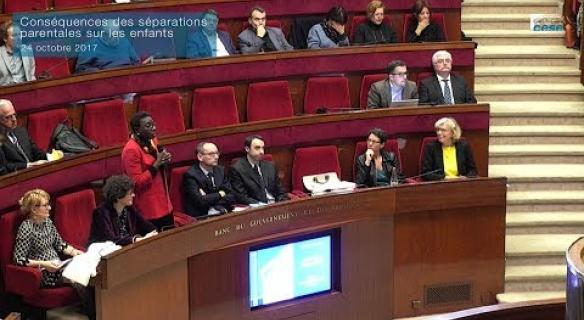 Conséquences des séparations parentales sur les enfants - séance du CESE