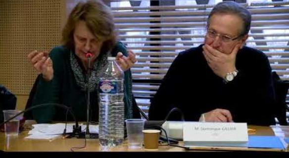 Audition de Catherine LARRERE - Réconcilier la France