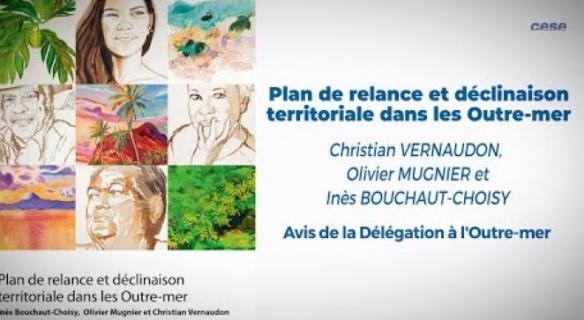 "Plan de relance et déclinaison territoriale dans les Outre-mer " le CESE a adopté l'avis