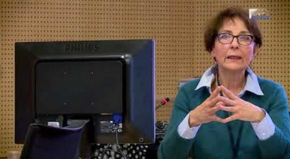 Questions à Sylvie CELERIER (Université de Lille) - travail indépendant