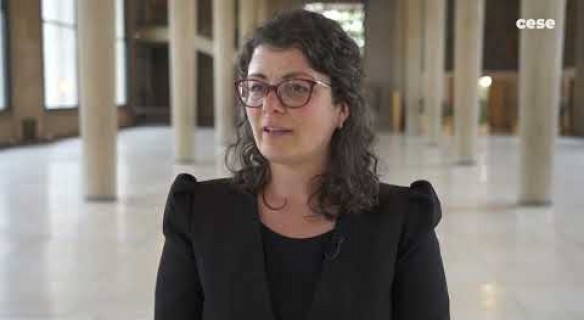ADEPAPE - Sophie BRASSART - Métiers de la cohésion sociale