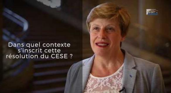 Le CESE a adopté sa résolution "Construire demain" sur l'après Covid
