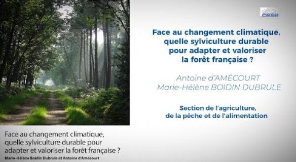 Sylviculture : le CESE adopte son avis pour une valorisation durable de la forêt