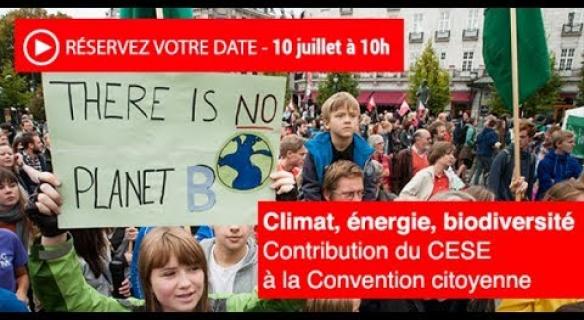 Revoir la séance de présentation du projet d'avis "Climat, énergie, biodiversité"