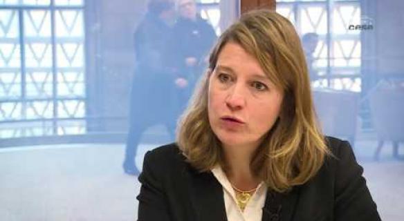 Questions à Delphine CHAUFFAUT (Terra Nova) - Revenu minimum