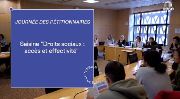 Retour sur la journée des pétitionnaires consacrée à l'effectivité des droits sociaux