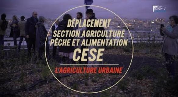 L'agriculture urbaine dans la Ville de Paris