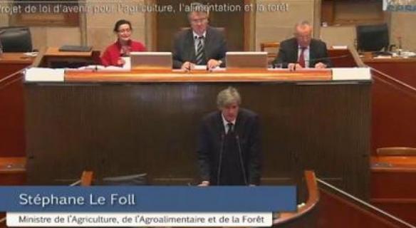 Revoir la séance du 12 novembre 2013