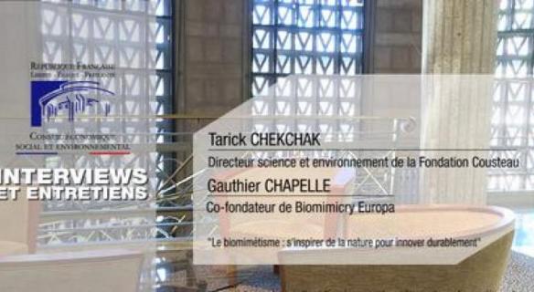 3 questions à Tarick CHEKCHAK et Gauthier CHAPELLE (Biomimicry Europa)