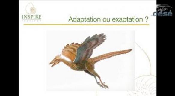 Audition de M. Emmanuel DELANNOY (Institut Inspire)