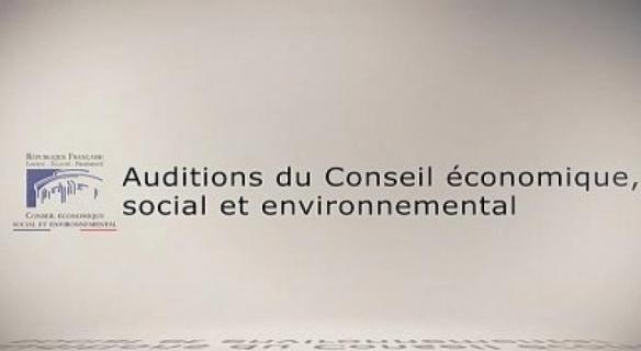 Questions à Corinne Lepage