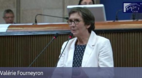 Intervention de Mme Valérie Fourneyron