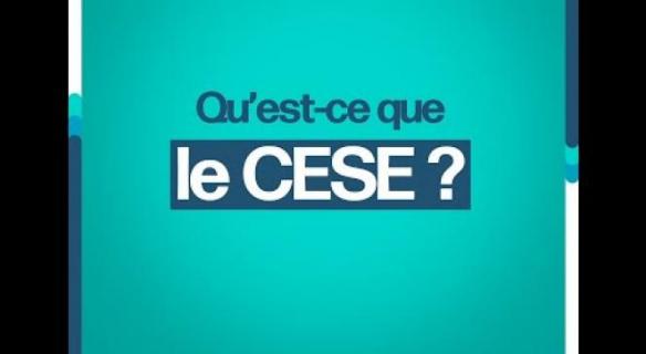 La réforme du CESE, c'est pour bientôt !
