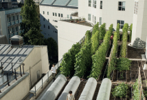 URBAN AGRICULTURE: A KEY TOOL FOR SUSTAINABLE CITIES